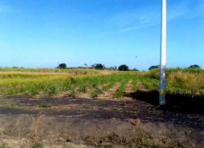 Terreno - Lote Itaguaí, RJ 92.000m² - 9 Hct - BR 101 - Porto de Sepetiba - AMBEV