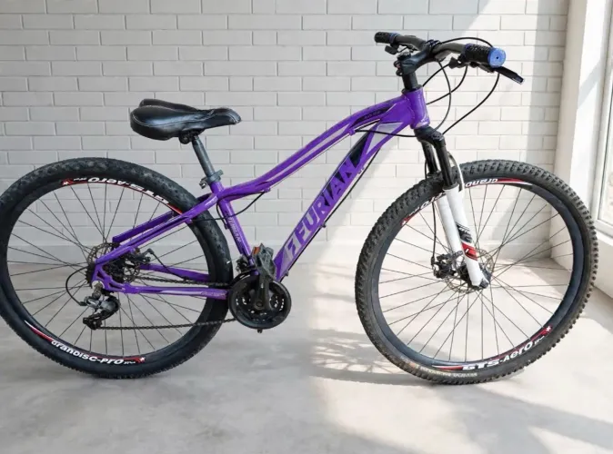 Bicicleta aro 29