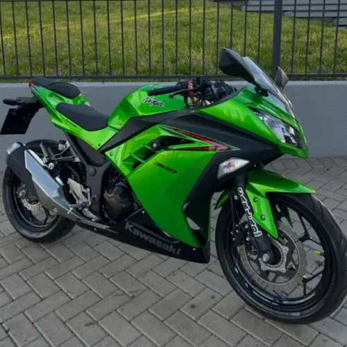 Kawasaki/ Ninja 300