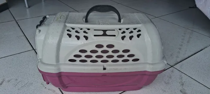 Vendo Caixa de transporte Panther