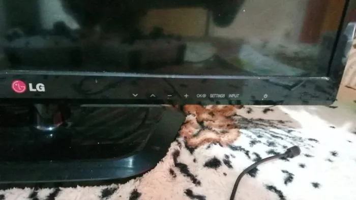 Televisão 300