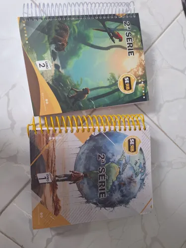 Kit 2° ano Rosana Bastos