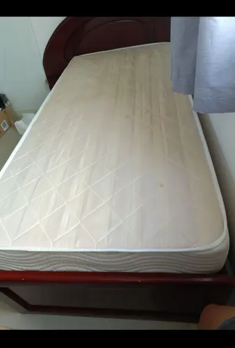 Cana solteiro vendo e colchão é doação