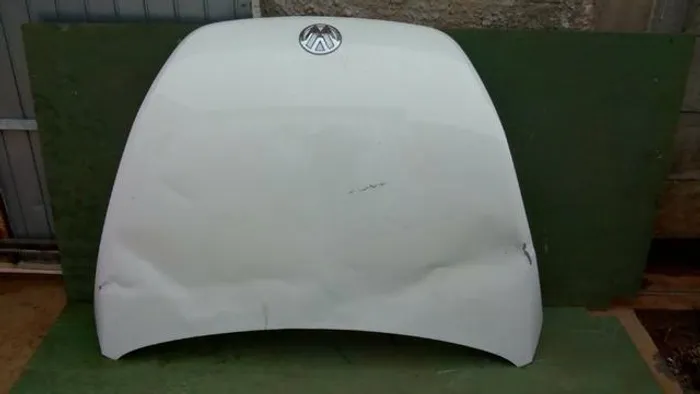 Capo New beetle