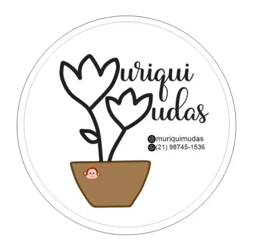 MUDAS: frutíferas produtivas e de Mata Atlântica