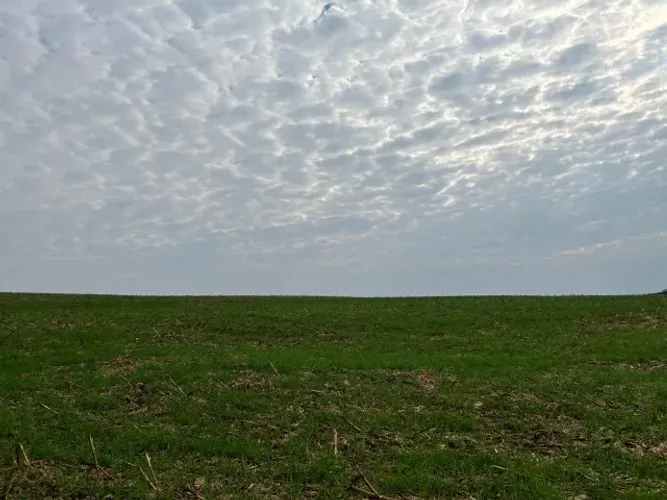 Fazenda de 70 alqueires, cascavel, próximo ao aeroporto.