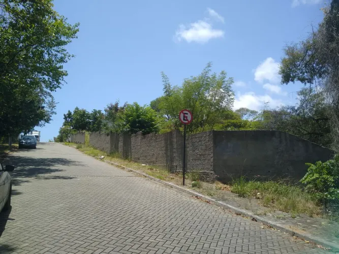 Vendo Área com 2400m2 no Bairro dos Ipês 