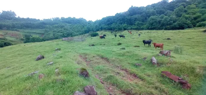 Chácara 36 Hectares em Rolante RS Casa Centenária Açudes Vertentes Frutíferas