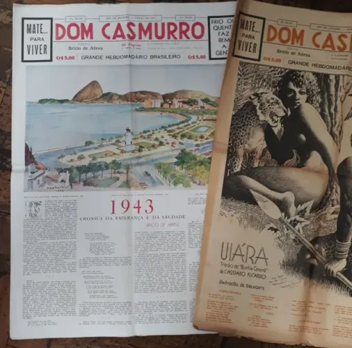 Jornais Literários Dom Casmurro 