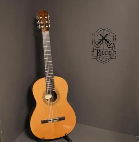 Violão de luthier Do Souto 1976- Antônio Tavares 