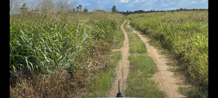 295 alqueires em Altamira Pará pronta R$ 10.500.000,00