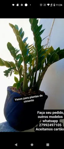 Vasos de cimento para plantas