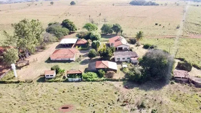 Fazenda à Venda  223 Alqueires de Potencial e Produtividade - Palmeira D'Oeste