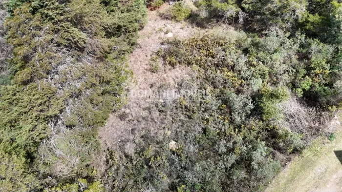 Linda Área de Terreno praticamente Plana na Região do Vale Encantado - Campos do Jordão/SP
