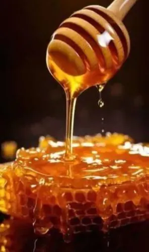 Mel silvestre 700g direto com o produtor 