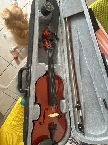 Violino 4/4 vogga 