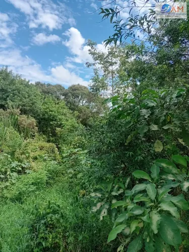 Terreno Lote em Vila Torres, Campo Largo/PR