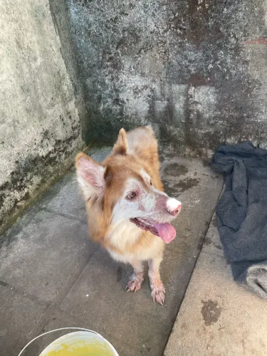 Doação