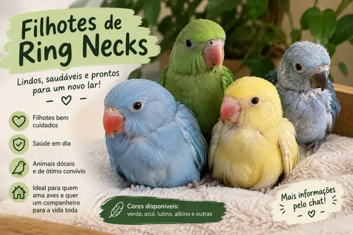 Ótimos pets