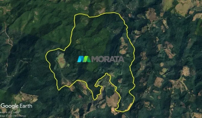 FAZENDA PARA COMPENSAÇÃO AMBIENTAL / RESERVA LEGAL - 480 HECTARES - MARIANA (MG)