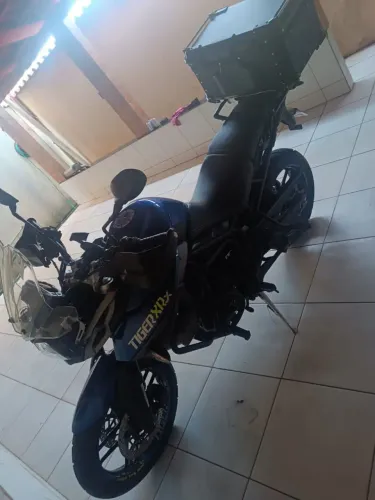 Tiger 2017/18