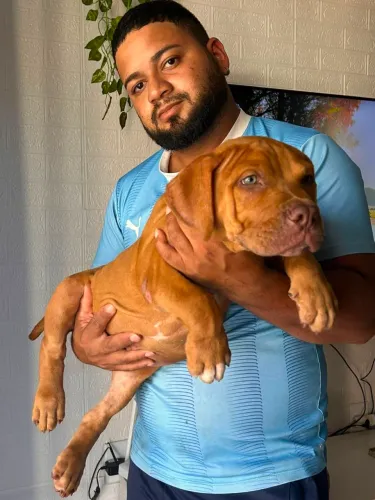 Pitmonster 