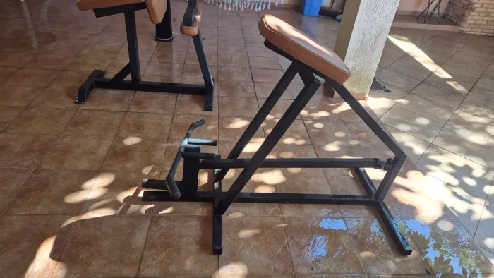Equipamento Cavalinho academia costas
