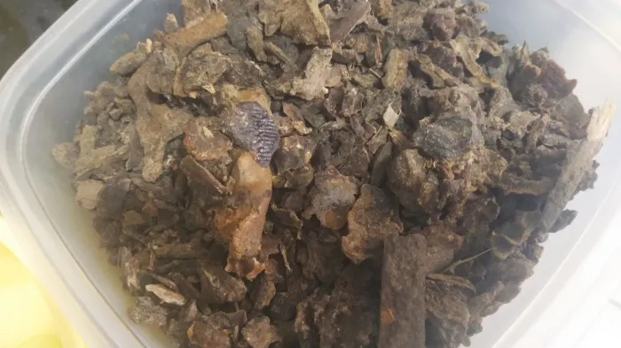 Própolis verde bruta em raspa