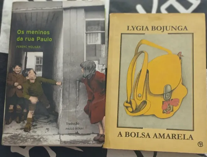 Livros paradidáticos