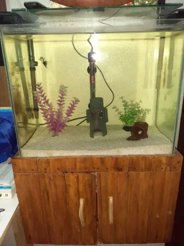 Aquários disponível 
