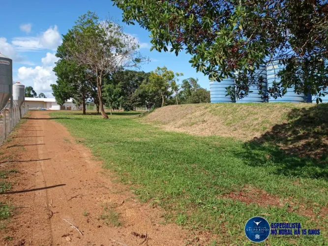 Fazenda à Venda em Mineiros-GO | 46 Hectares | 3 Núcleos de Aviário