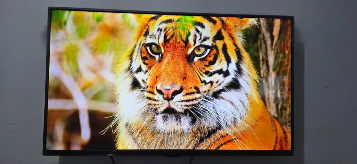 Tv 42 LED LG Completa (Parcelo)