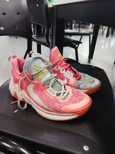 Tenis de basquete e volei Giannis Immortality 2