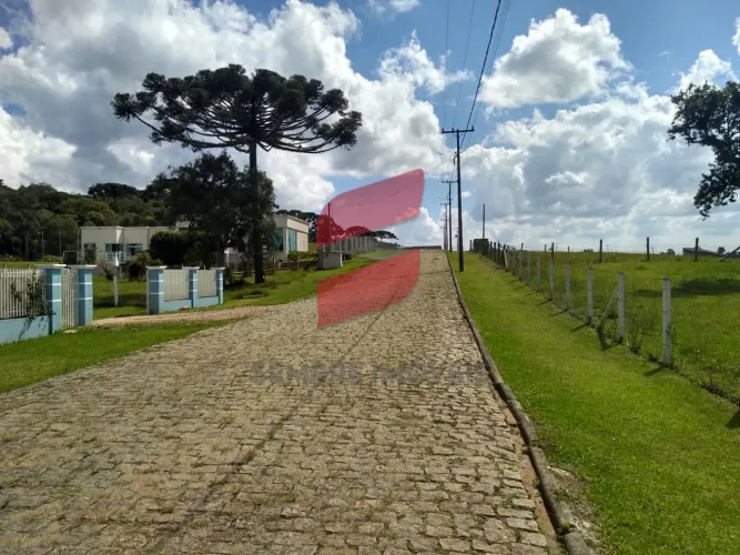 CHÁCARA à venda com 6250.86m² por R$ 754.000,00 no bairro planta laranjeiras - PIRAQUARA /