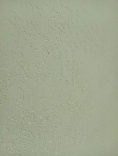 Pintor profissional