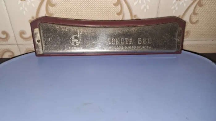 Gaita antiga hering sonora 880