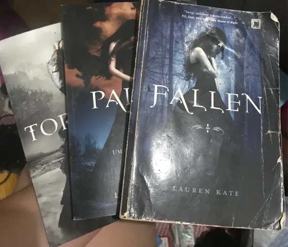 Livros Fallen, Tormenta e Paixão 