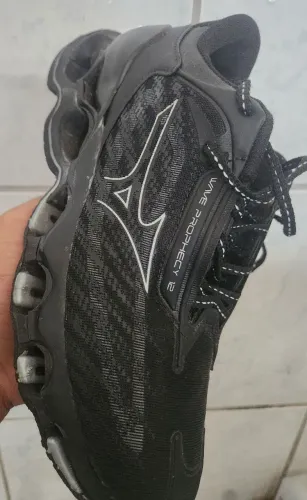 Mizuno phophecy 12