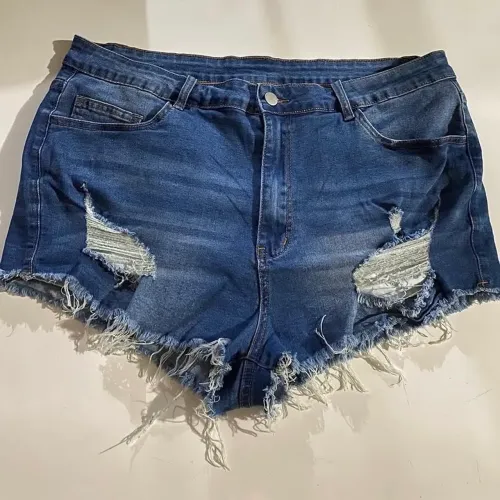 2 SHORTS PLUS SIZE SHEIN
