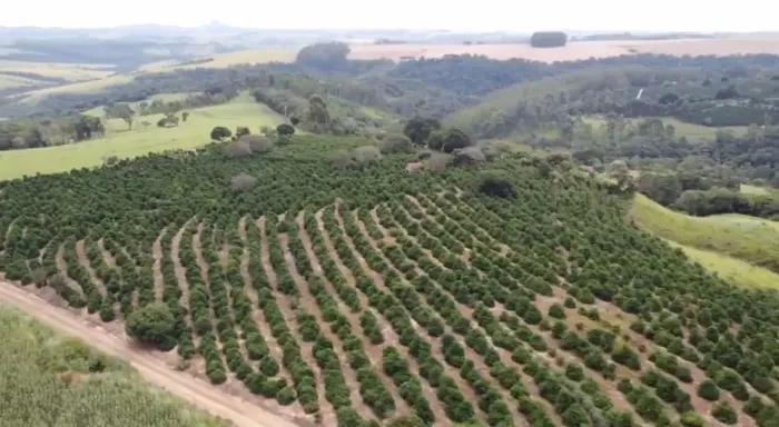 Área rural com plantio de café para venda com 18 hectares no Paraná , abaixo do valor, ac