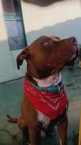 Doação 