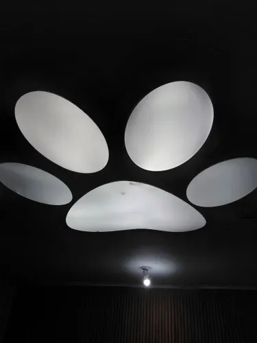 Luminária pata