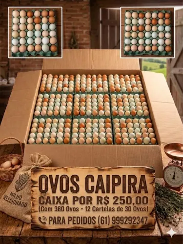 CAIXA DE OVOS CAIPIRA