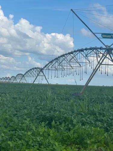 Porteira Fechada! Fazenda de 1.269ha com Pivô e R$ 2,2 Milhões em Ativos, a Poucos km de B