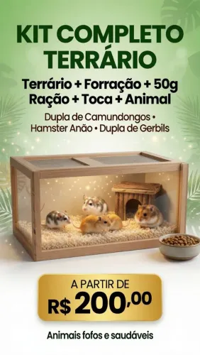 Kit Hamster completo | ou camundongo 