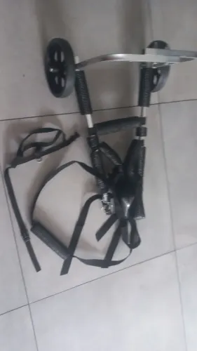 Cadeira para cães