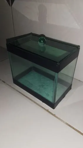 Aquário Beteira