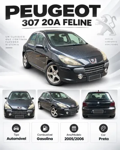 Peugeot 307 Feline/griff/premi. 2.0 Flex 5P Aut. 2006