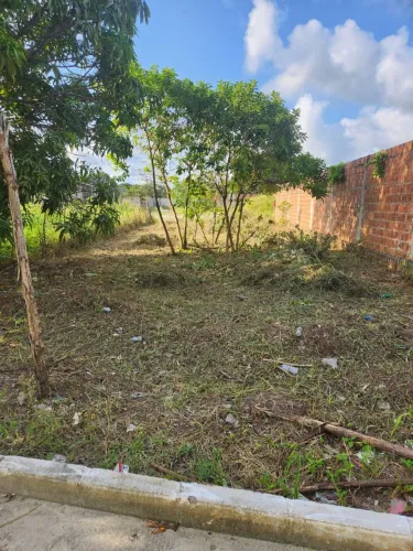Terreno 30x10 em Abreu e lima