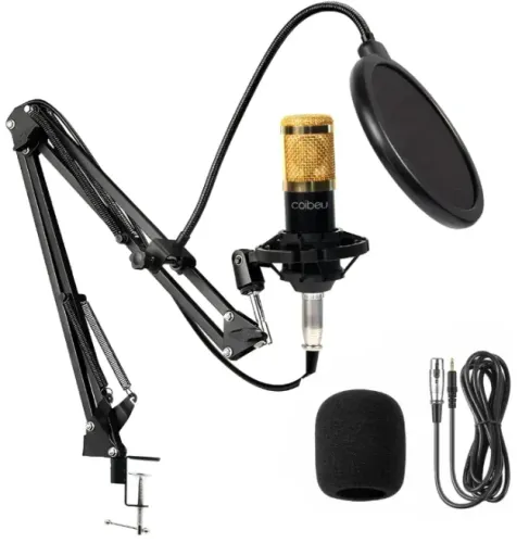 Kit Interface Microfone Bm800 Com Braço Articulado